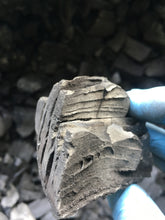 6kg Wild Cherry Charcoal