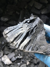 6kg Wild Cherry Charcoal